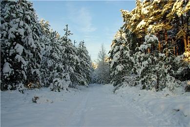 发售近一个月 《黑神话：悟空》热度依旧