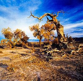 《极限竞速：地平线5》采用了超过2000种天空预设图